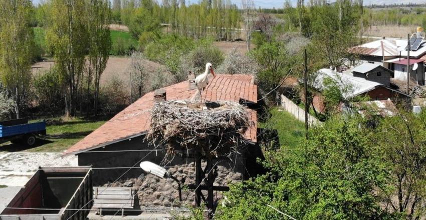 23 yıldır Erzincan'ı terk etmedi: Köy halkı gözü gibi bakıyor