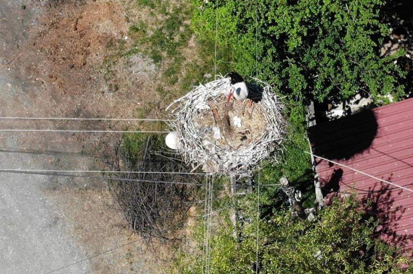23 yıldır Erzincan'ı terk etmedi: Köy halkı gözü gibi bakıyor