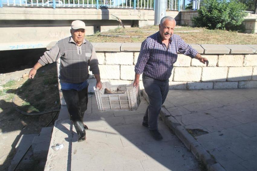 3 aylık yasak bitti, ağlar atıldı! Kilosu 100 liradan satışa çıktı