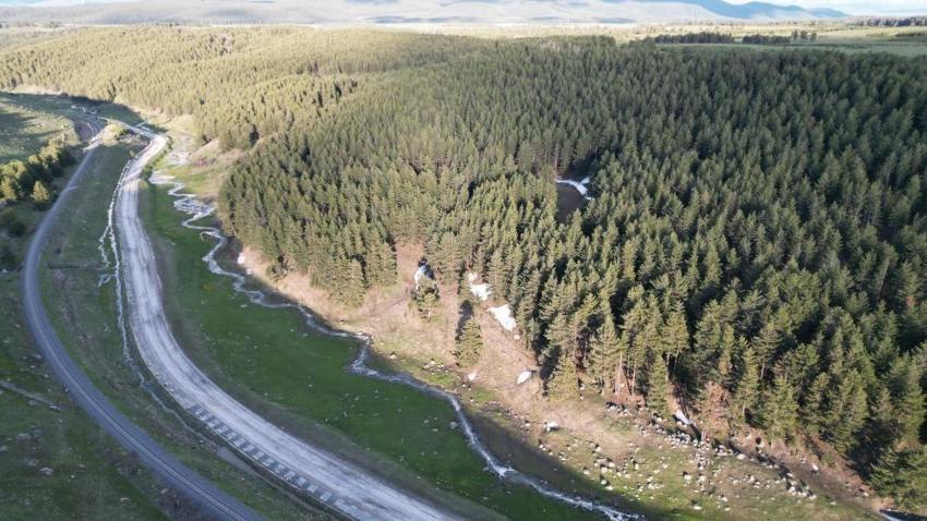 Kars'a yaz geldi: Büyüleyici manzaralar ortaya çıktı