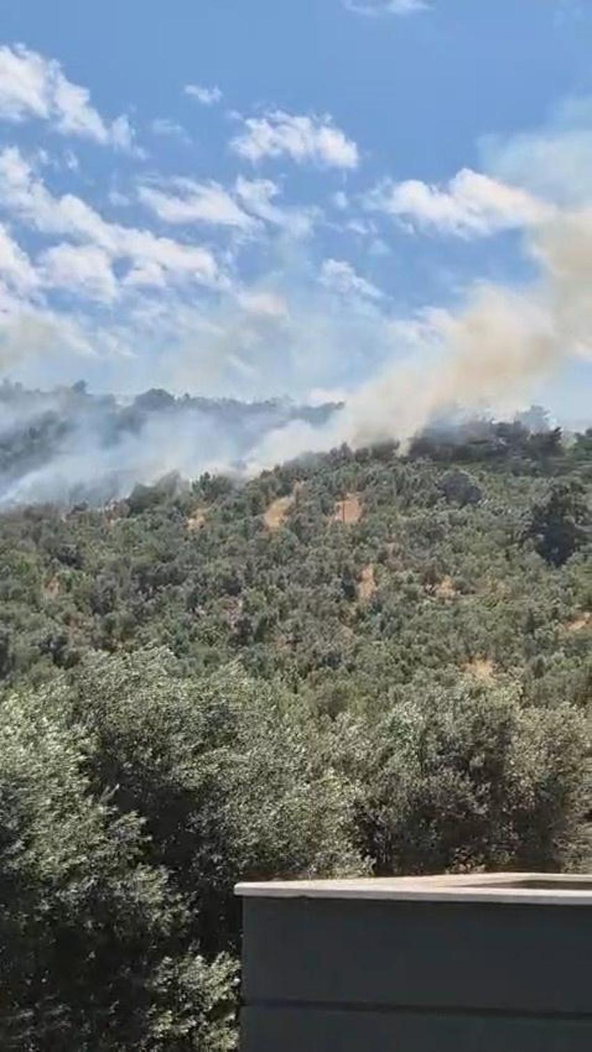 Burhaniye'de zeytinlik yangını: Havadan ve karadan müdahale ediliyor