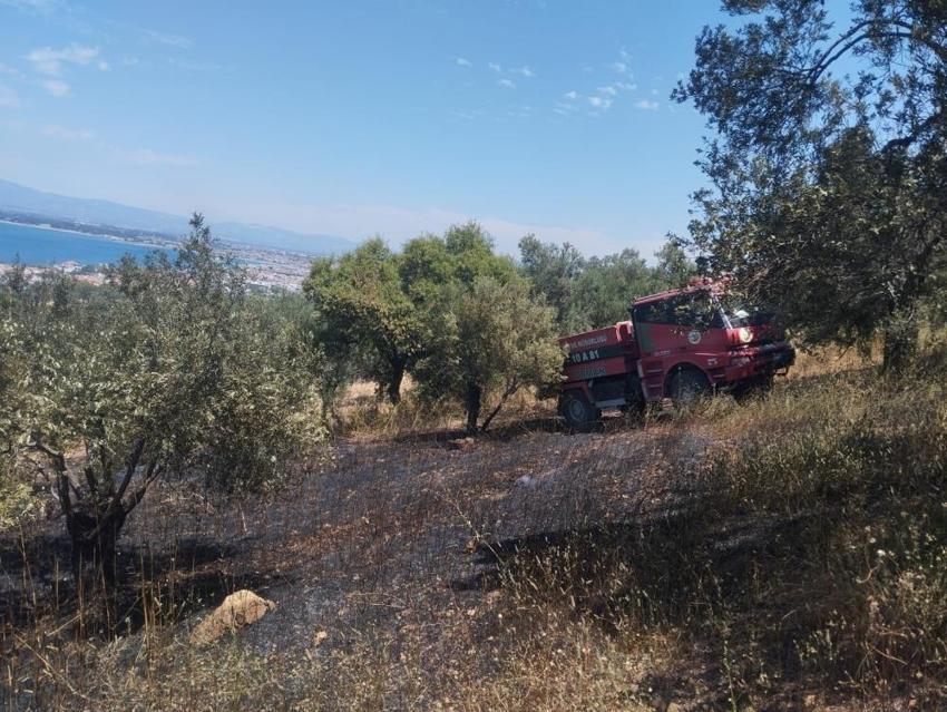 Burhaniye'de zeytinlik yangını: Havadan ve karadan müdahale ediliyor