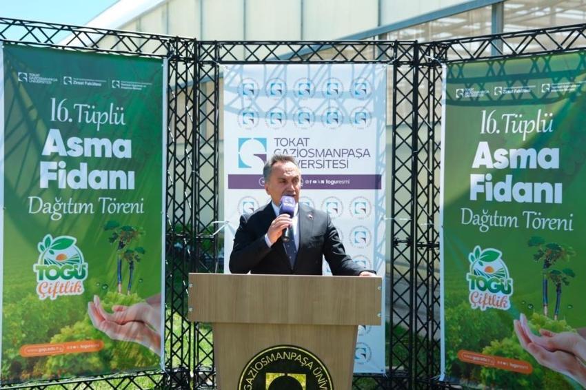 Tokat'ta üreticilere binlerce tüp asma fidanı dağıtıldı