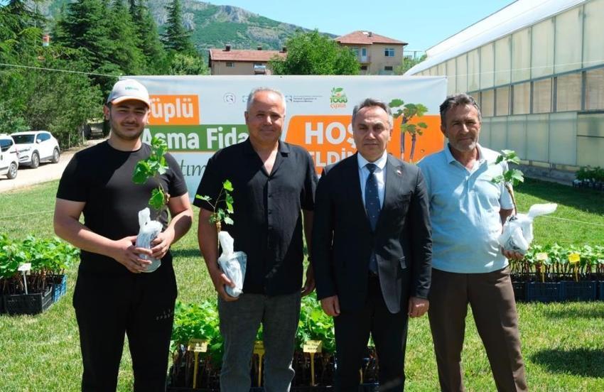 Tokat'ta üreticilere binlerce tüp asma fidanı dağıtıldı