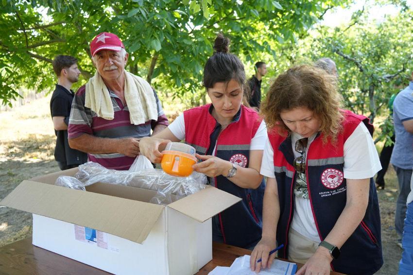 Dünyada meyvelere en çok zarar veren türe karşı Samsun'da savaş açıldı!
