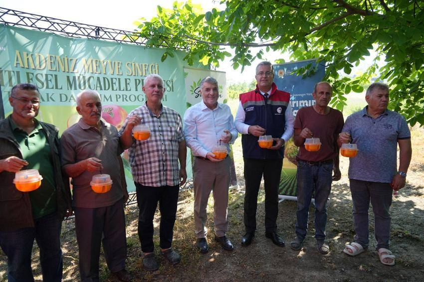 Dünyada meyvelere en çok zarar veren türe karşı Samsun'da savaş açıldı!