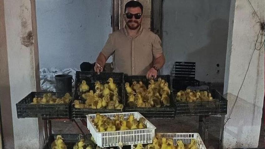 Kaz yetiştiriciliği ve üretiminde Samsun modeli: Hedef üretimden ihracata uzanan zincir
