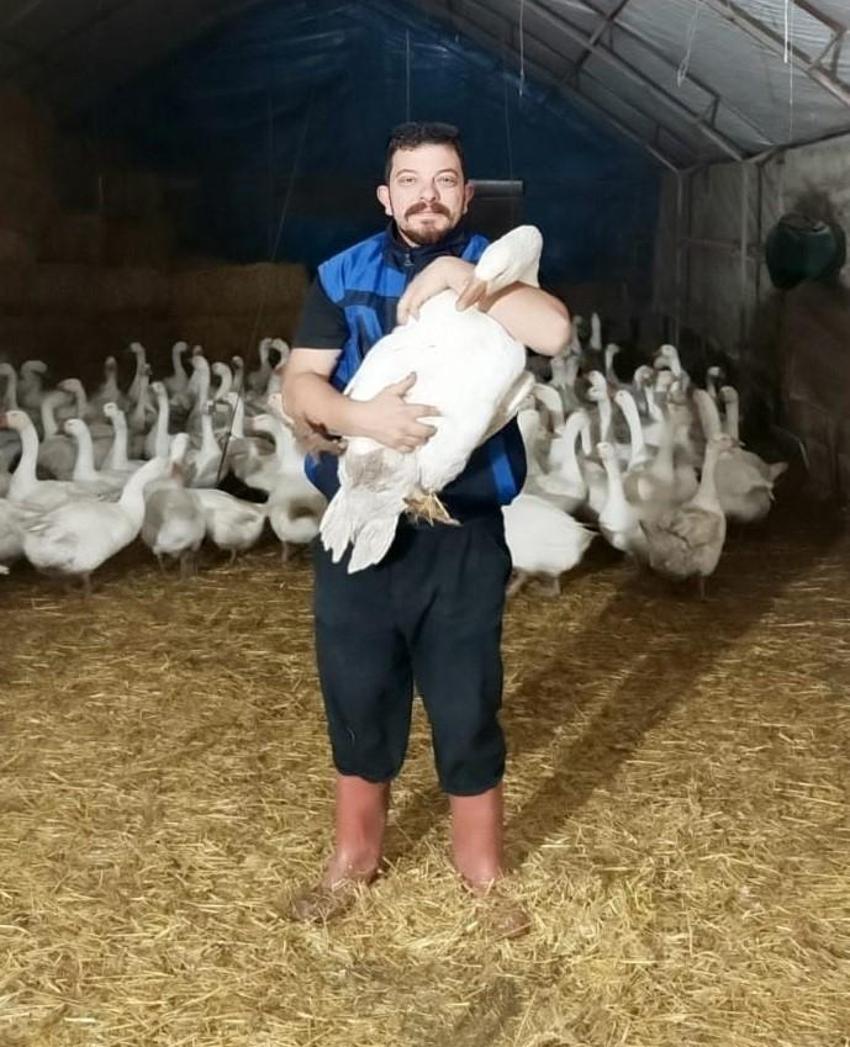Kaz yetiştiriciliği ve üretiminde Samsun modeli: Hedef üretimden ihracata uzanan zincir