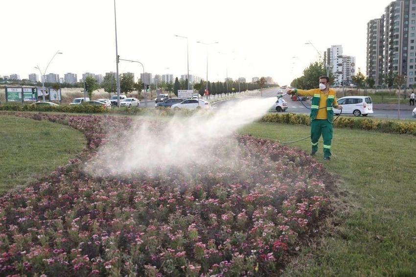 Diyarbakır’da çiçekler toprakla buluştu 500 bin Çin karanfili üretildi