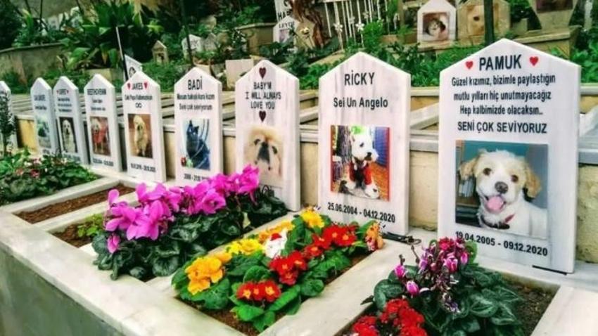 Konya ikiye bölünd: Evcil hayvan pazarı yapılacak mı?