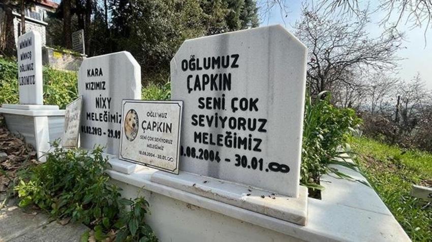 Konya ikiye bölünd: Evcil hayvan pazarı yapılacak mı?