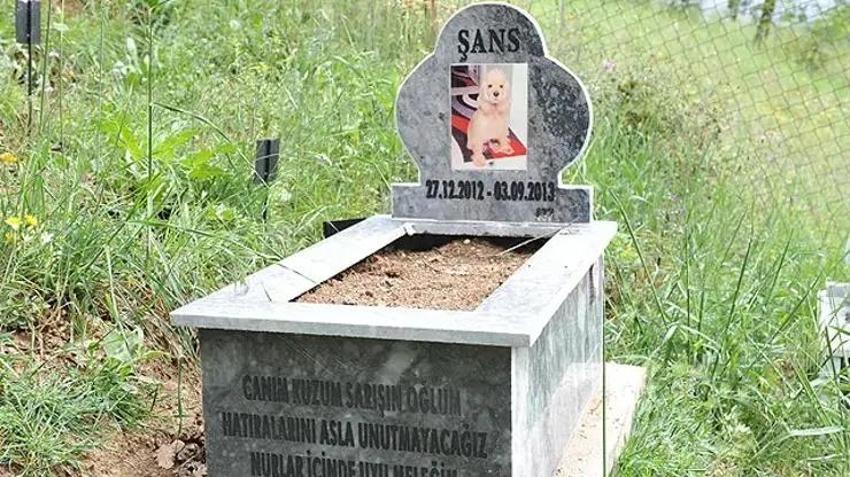 Konya ikiye bölünd: Evcil hayvan pazarı yapılacak mı?