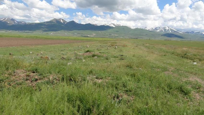 Erzurum'un köyünde söylentiyi muhtar doğruladı: Mezarlıktaki hazine için metrelerce kazdılar