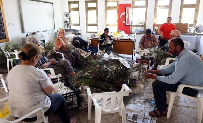 Unutulmuştu, destek gelince çadırlar kuruldu! İlk hasat tamamlandı: Üreticinin yeni kazanç kapısı oldu