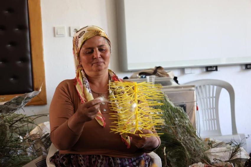 Unutulmuştu, destek gelince çadırlar kuruldu! İlk hasat tamamlandı: Üreticinin yeni kazanç kapısı oldu