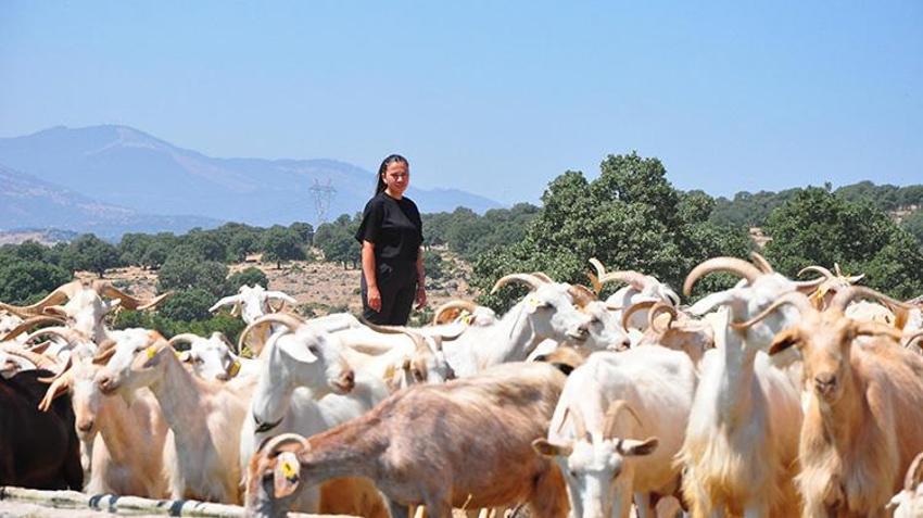 Masabaşı işini bıraktı, Manisa'da köyüne döndü: 'Yapamazsın' diyenlere inat sürüyü iki katına çıkarıp kendi markasını kurdu