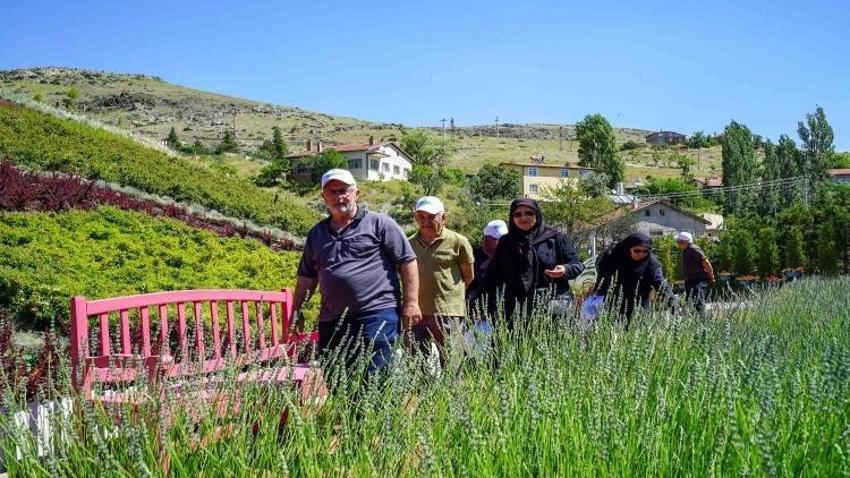 Konya’daki belediye duyurdu! Haftada 3 gün yapılacak