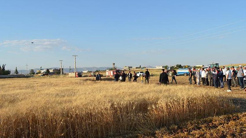 Mardin Ovası’nda buğday hasadı başladı: Dekarda 554 kilogramla 709 bin ton rekolte hedefleniyor!