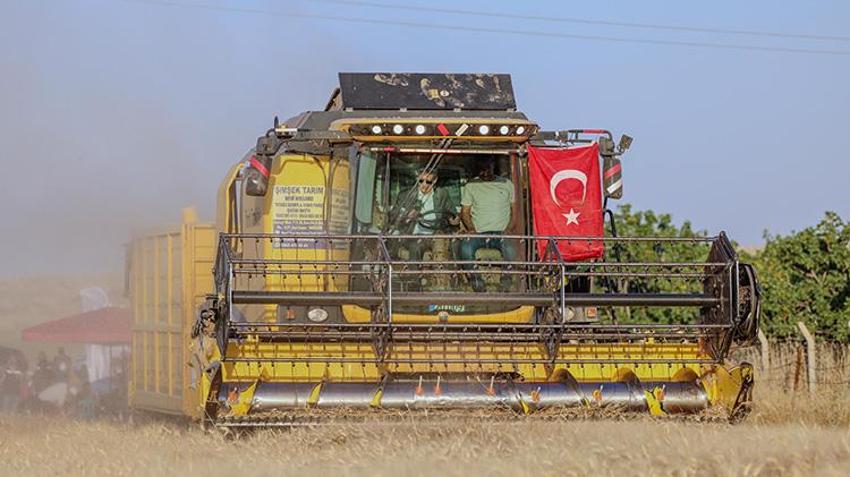Mardin Ovası’nda buğday hasadı başladı: Dekarda 554 kilogramla 709 bin ton rekolte hedefleniyor!