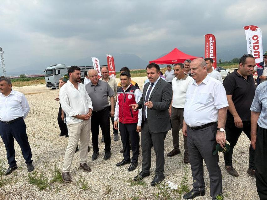 Yağışlar nedeniyle 15 gün gecikmeli başlayan hasatta yüksek verim sevinci
