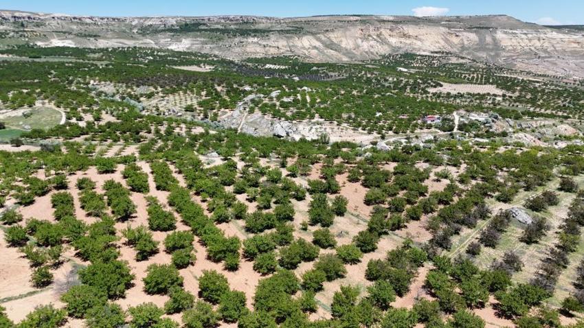Malatya'da ay sonu başlıyor! Dünyanın en iyisi ama kötü haberi verdi: Büyük bölümünü kaybettik