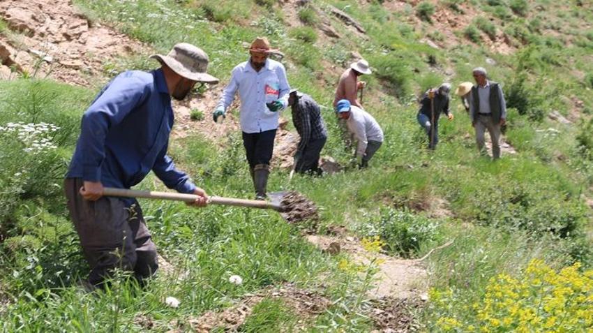 Köylülerin uçurum kenarındaki zorlu mesaisi! İmece usulü temizliyorlar: 'Üretim tamamen sona erebilir'