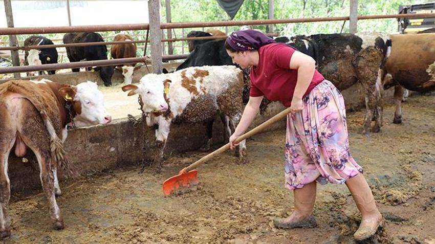 Eşi vefat edince herkes 'bırakır' dedi, o çiftliği iki kat büyüttü! Menderes’te 120 büyükbaş ona emanet