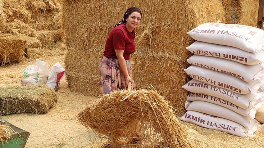 Eşi vefat edince herkes 'bırakır' dedi, o çiftliği iki kat büyüttü! Menderes’te 120 büyükbaş ona emanet