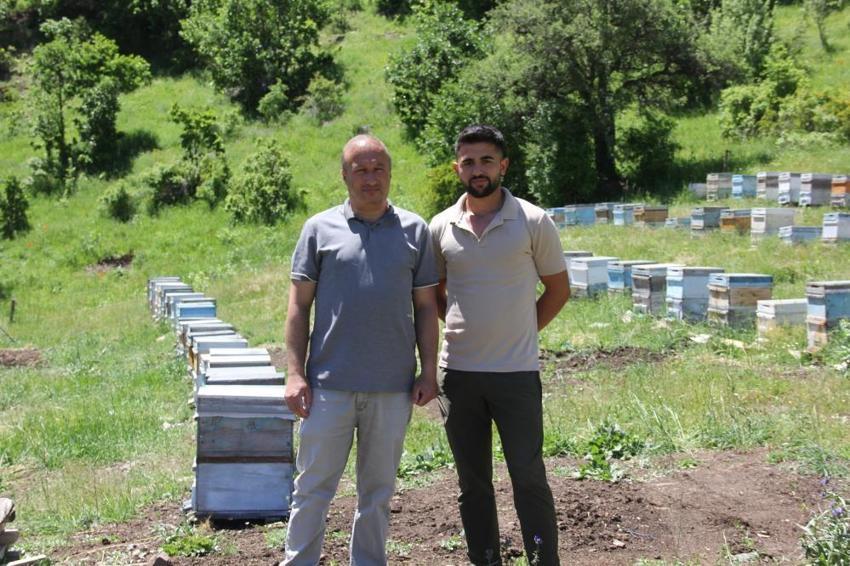 Çukurova'dan sonra Sivas'ta da başladı: Zara’da bu yıl sağım gecikecek ama 1500 ton rekolte bekleniyor!