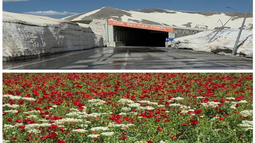 Haziran ortasında şaşırtan görüntü! Aynı gün hem yazı hem kışı yaşıyorlar