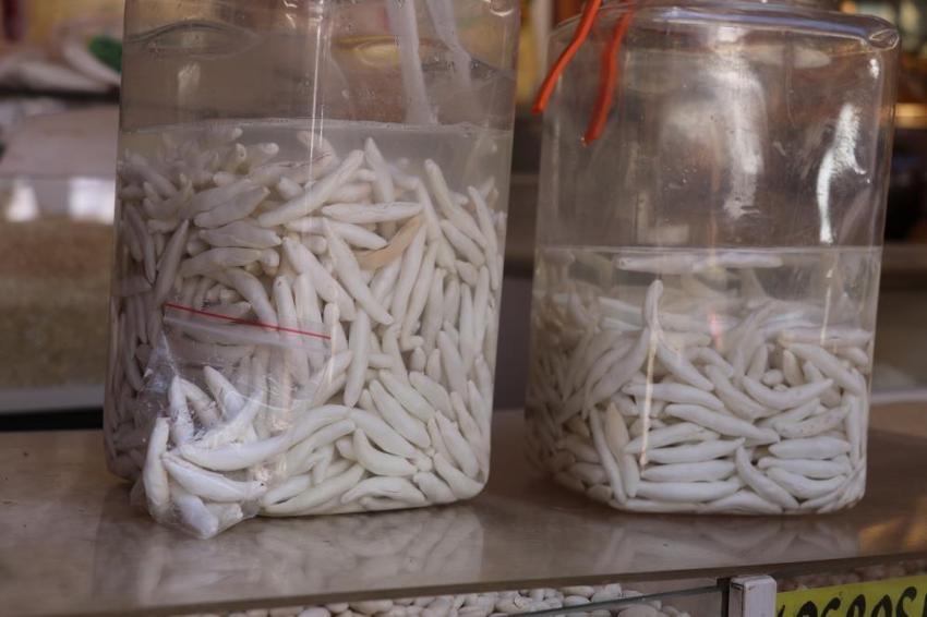 Sivas dağlarında gizli servet! köylüler sır gibi saklıyor: Kilosu 12 bin liradan satılıyor