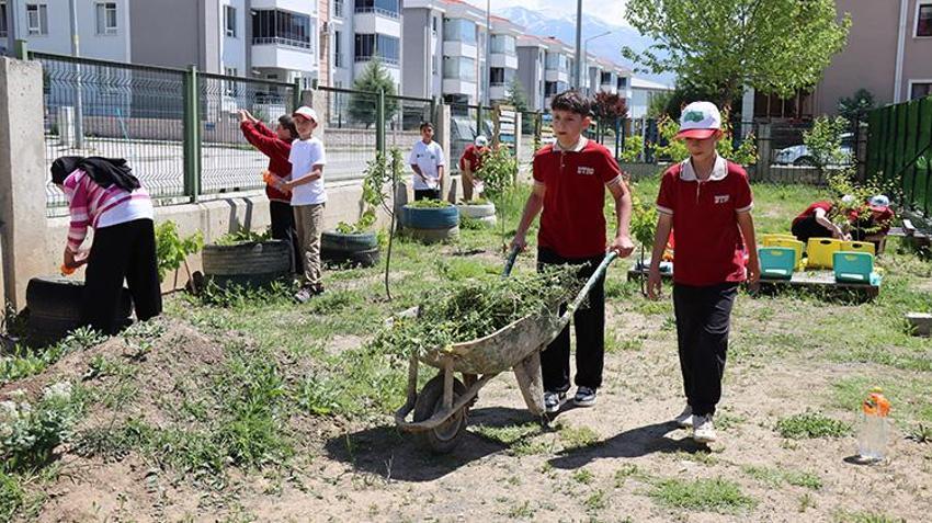 Erzincan’da öğrenciler okul bahçesinde sera kurdu: Rokadan domatese tamamen organik! Hasat Başladı