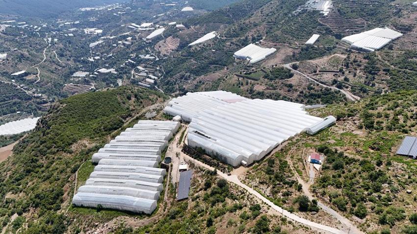 Seradan 30 liraya çıkan muzun pazarlarda 100 liranın üzerinde satılması tepki çekti