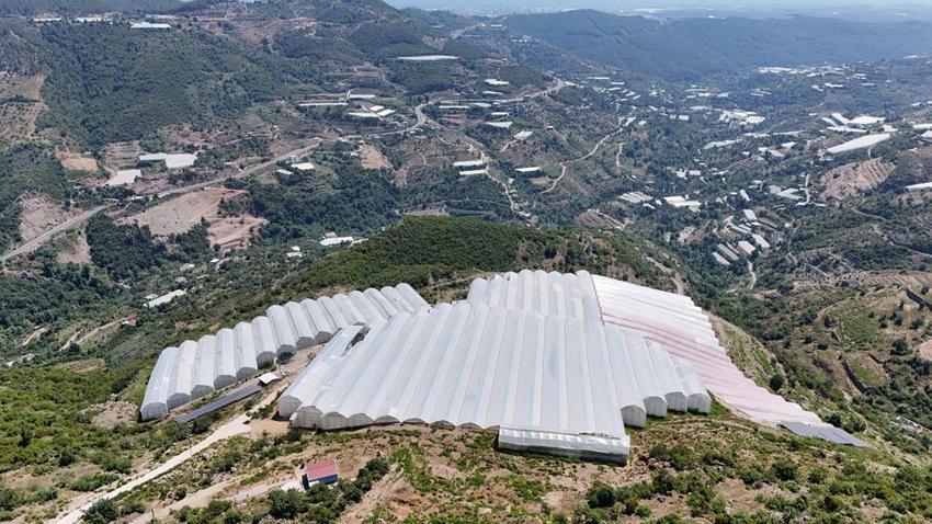Seradan 30 liraya çıkan muzun pazarlarda 100 liranın üzerinde satılması tepki çekti