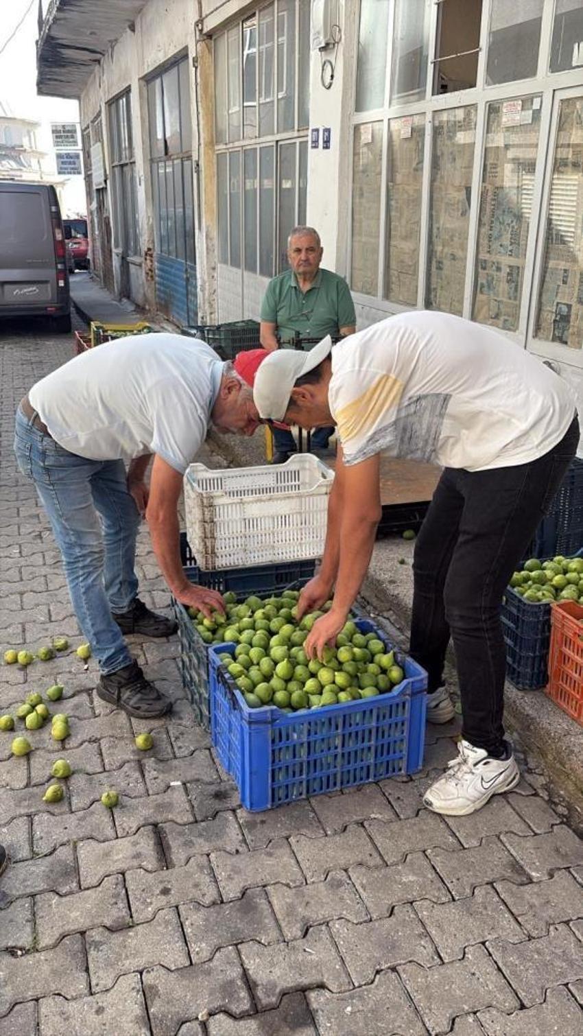 İncirde altın dokunuş günleri: Kilogramı 300 liraya ulaştı! Marmara Bölgesi bile sıraya girdi, Bozdoğan’dan kapış kapış gidiyor