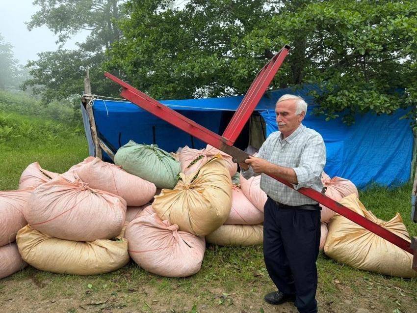 Muhtar Vakfıkebir'de sistemi kurdu: Çay taşımacılığı için üreticiye çözüm oldu