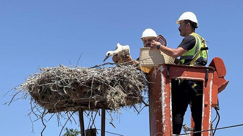 Karakavak'ta leylek festivali: Doğal hayatın korunması ve ekoturizme katkısı olacak