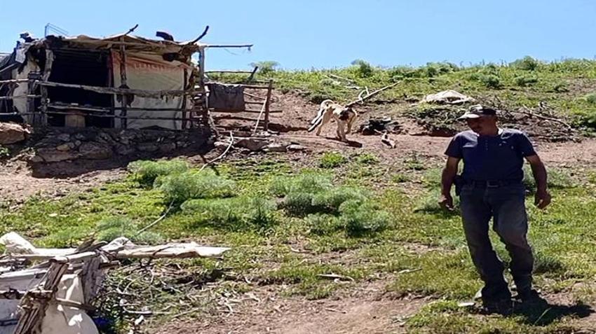 Şehir hayatını reddetti! 40 yıldır dağda tek başına yaşıyor