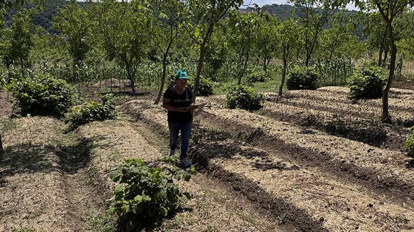Sağlık çalışanıydı, emekli olup o işe girdi: Özel izinle toprağa gömdü, şimdi servet kazanıyor!