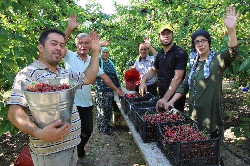 65 yıldır süren yarışma: Amasya'da Türkiye'nin en eskisi yer alıyor