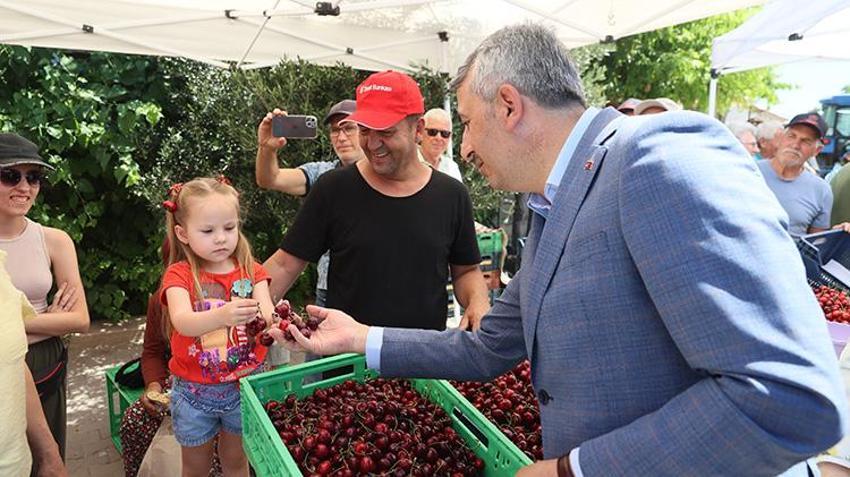 Coğrafi İşaretli Çeribaşı kirazında 250 tonluk hasat şenliği başladı!