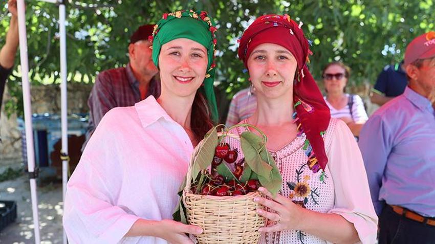 Coğrafi İşaretli Çeribaşı kirazında 250 tonluk hasat şenliği başladı!