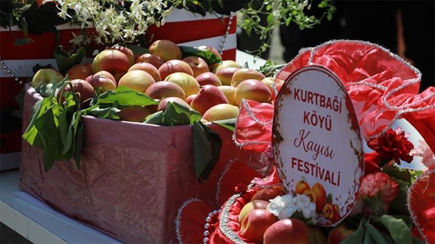 Hatay'da festival coşkusu! Vatandaşlar akın etti, renkli görüntüler dikkat çekti