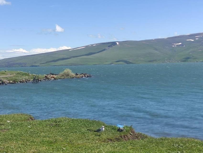 Çıldır Gölü'nde yıllar sonra görüldü: Seviye bir anda fırladı