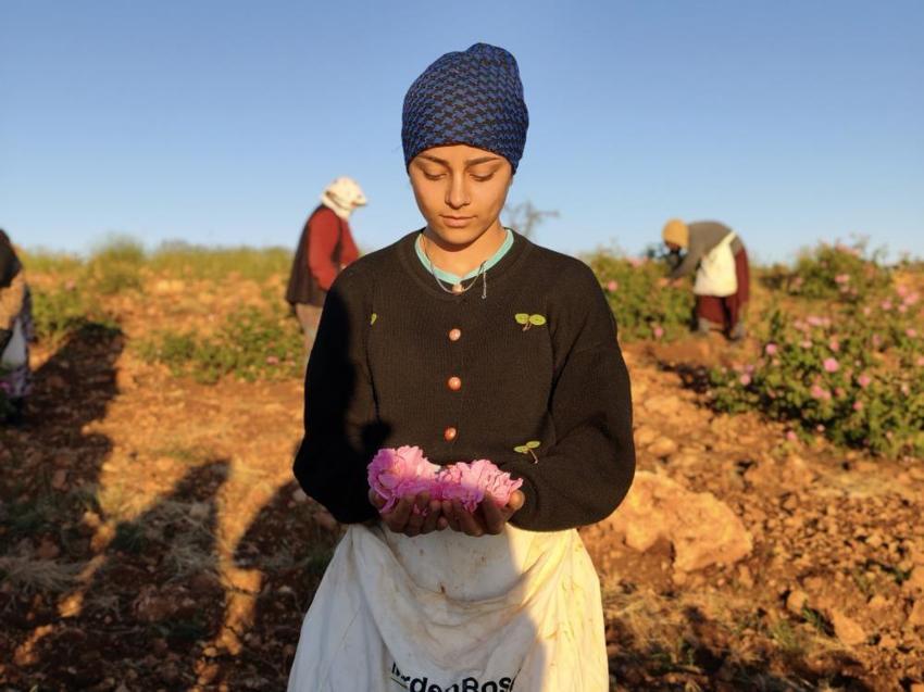 Japonlar öğrenmek için Mardin'e akın ediyor! 4 tonundan sadece 1 kilo çıkıyor: Dünya devleri bu ürünün peşinde