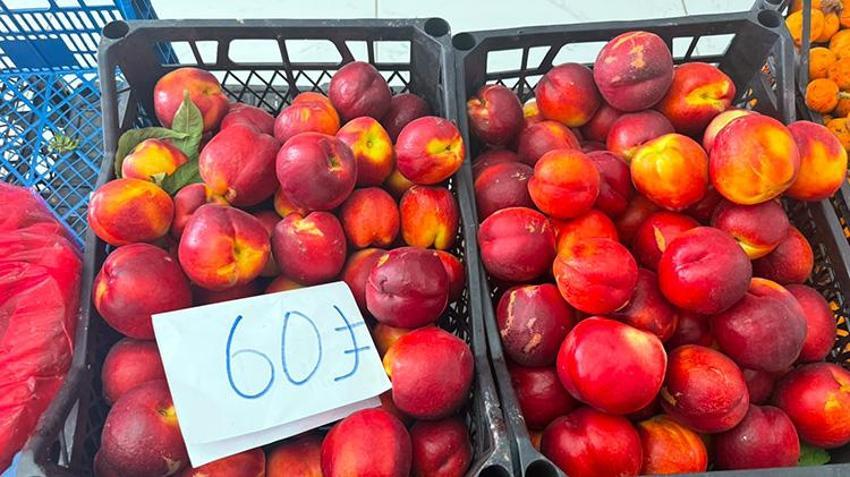 Üretici kan ağlıyor, aracı kazanıyor! Hatay'da şeftali bahçede 15 TL, pazarda 60 TL: 4 katlık dev uçurum!