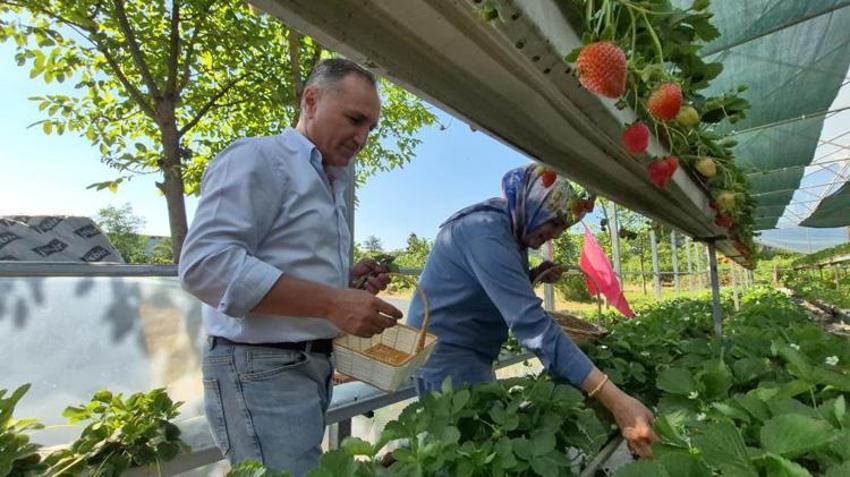 Eşini ikna etmek için seraya onun adını verdi! Şimdi kapısında kuyruk var: Parasıyla bile en fazla 1 kilo alabiliyorlar