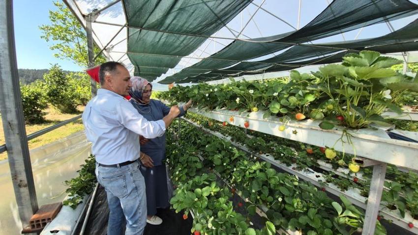 Eşini ikna etmek için seraya onun adını verdi! Şimdi kapısında kuyruk var: Parasıyla bile en fazla 1 kilo alabiliyorlar