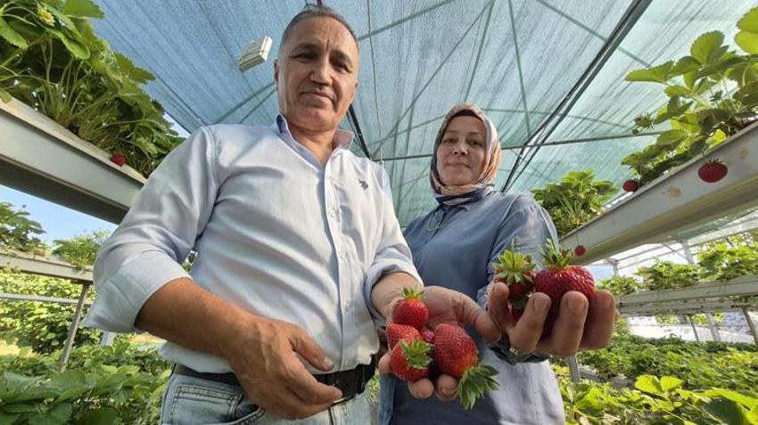 Eşini ikna etmek için seraya onun adını verdi! Şimdi kapısında kuyruk var: Parasıyla bile en fazla 1 kilo alabiliyorlar