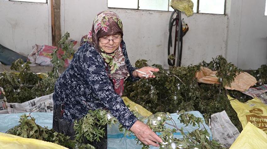 Sakaryalı karı koca 35 günde servet kazanıyorlar! Ata mirasını devraldılar: Ölene kadar devam!